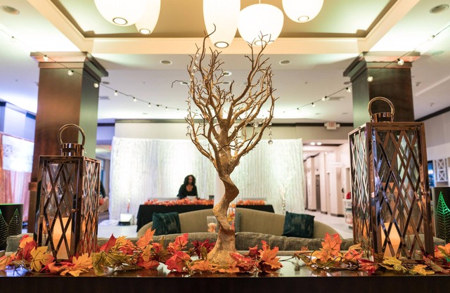 Hilton Garden Inn Arlington-Shirlington