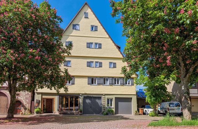 Historic vacation home Spital - 24 Pers. , Wifi, large group room, 9 bedrooms, 5 bathsrooms