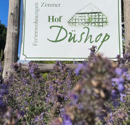 Hof Düshop