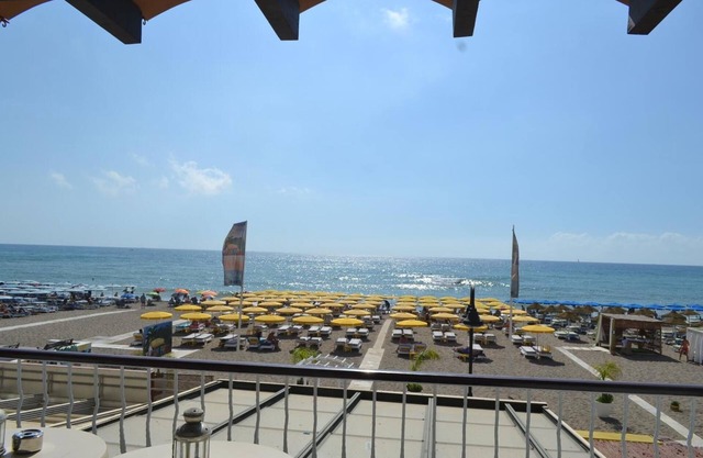 Hof van Holland Carihuela