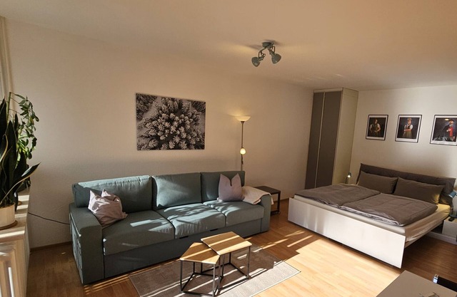 Holiday Apartment SCHANZENBLICK with Sauna & Pool
