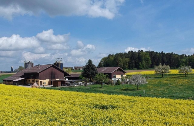 Holiday apartment Dinhard for 1 - 5 persons with 1 bedroom - Farmhouse