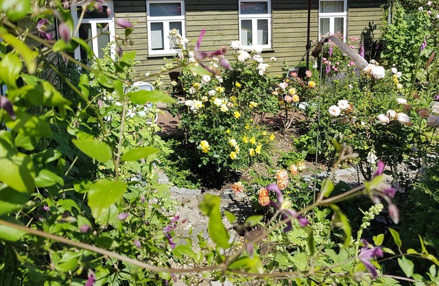 Holiday apartment in a quiet location on a large natural plot