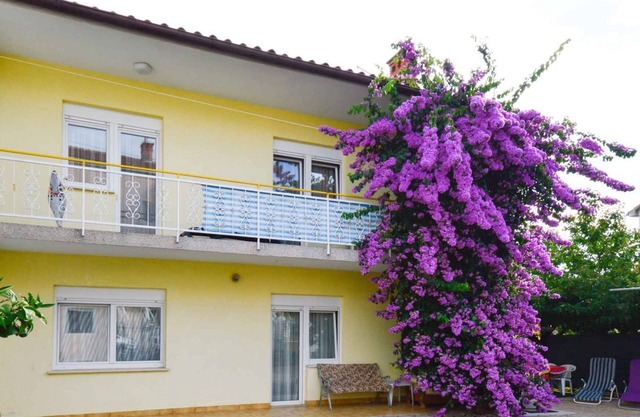 Holiday apartment with terrace and air conditioning