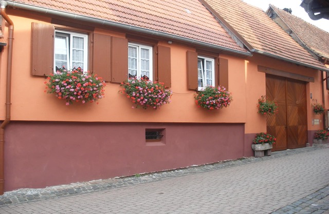 Holiday cottage in Westhoffen Schwartz Jacqueline Route des vins 67 Alsace