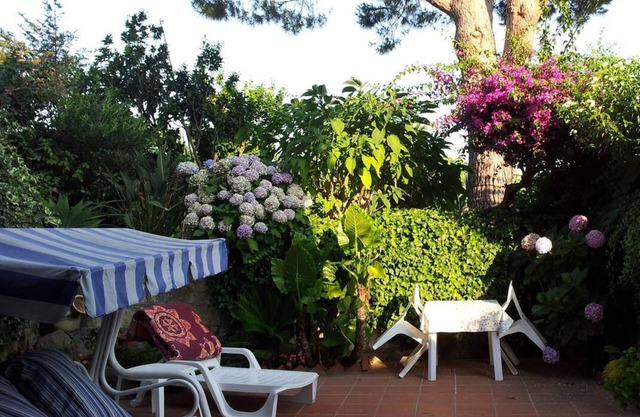 Holiday flat with cozy terrace