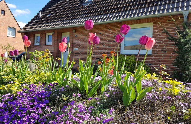 Holiday home for 4 guests with 100m² in Osterrönfeld (15633)