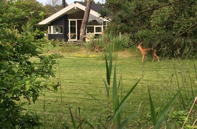 Holiday home in beautiful nature between two coasts