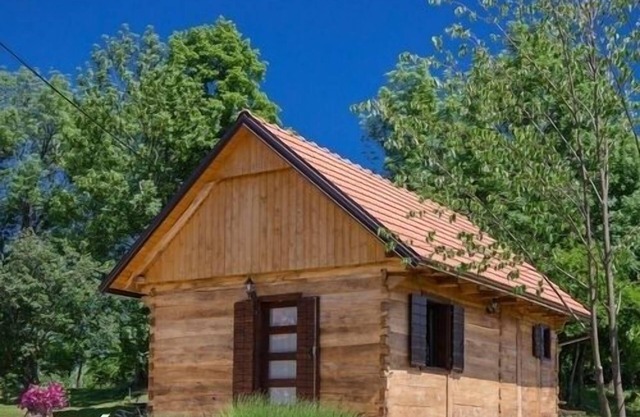 Holiday Home in Rakovica with Terrace, WIFI, Washing machine (4488-2)