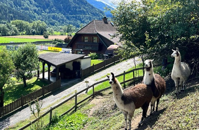 Holiday Home Lama by Interhome