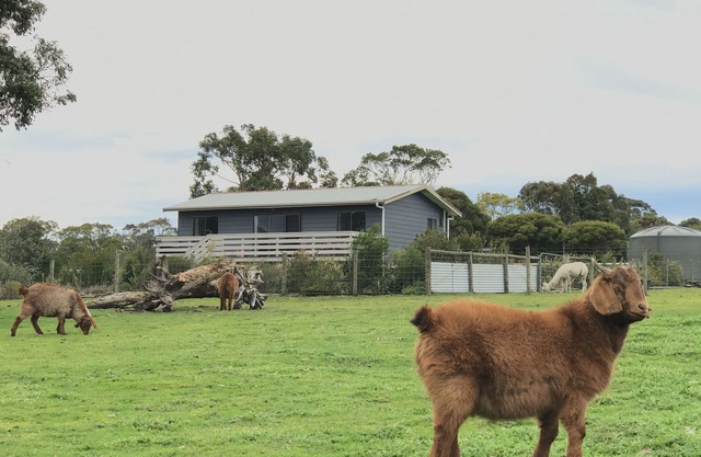 Holiday House on 6 acres (Farm Stay)