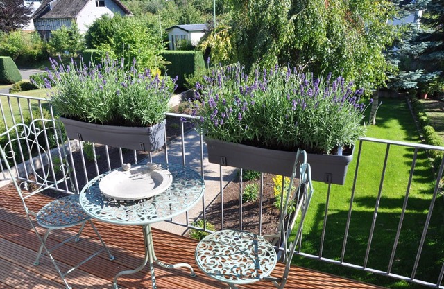 Holiday house Rurberg for 1 - 6 persons with 2 bedrooms - Twin house