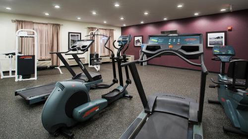 Holiday Inn Express & Suites Wyomissing by IHG