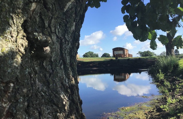 HOLLIE, family friendly, with a garden in Raglan