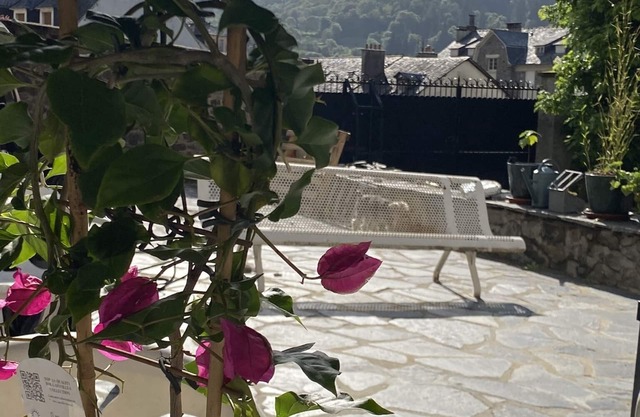 HOME LE SOFT PRIVATIZATION BED AND BREAKFAST IN TOWN CENTER