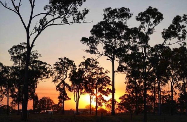 Home near Bundaberg! 4 bedrooms 9 beds 11 acres