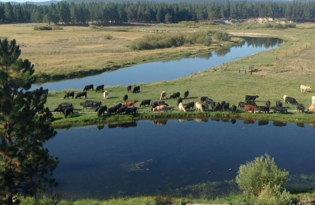 Home on the Sprague River in Chiloquin, Oregon-40 miles from Crater Lake