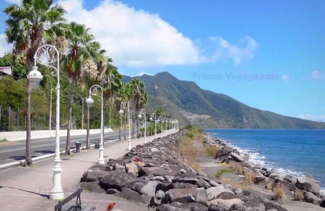 Homerez - Apartment Basse-Terre