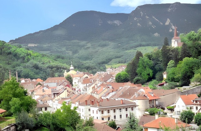 Homerez - Apt. in Salins-les-Bains, parking included