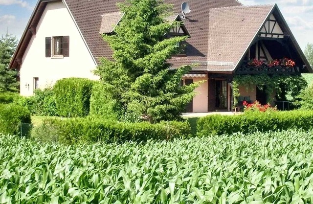 Homerez - Charming Apartment in Hochfelden - 100 m² and Free Parking