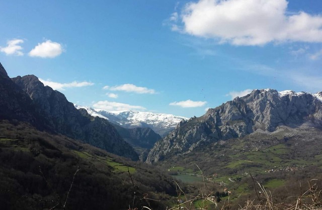 Homerez - Welcoming House in Bermiego with All Comforts