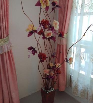Homestay Anggur