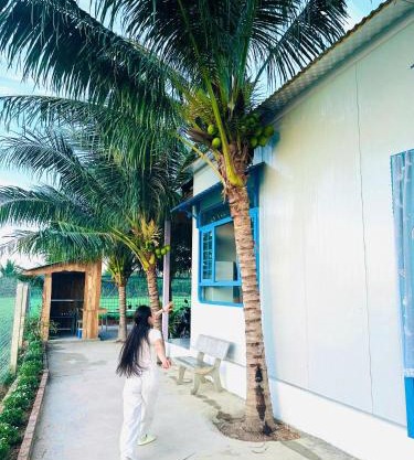 Homestay Về Nhà Chơi