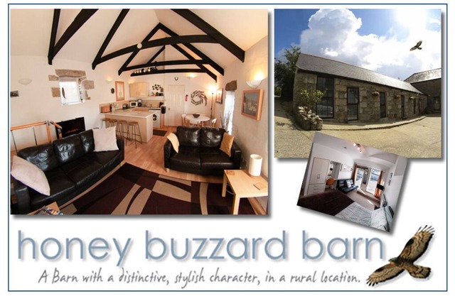 Honey Buzzard - A Character - Self Catering Barn, Rural Location, Dog Friendly -