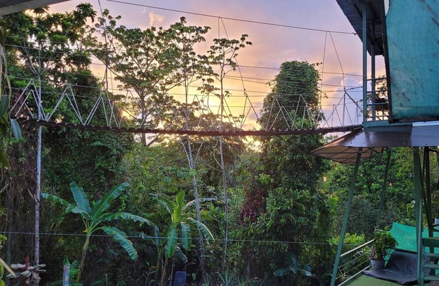 Honeymoon Treehouse