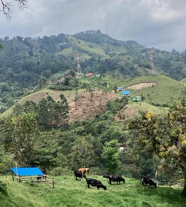 Hostal Las Hamacas forest and nature