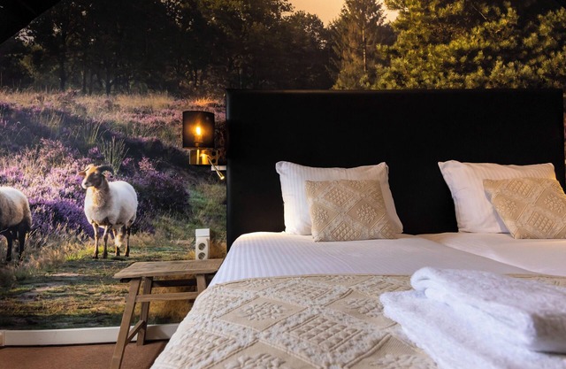 Hotel de Oringer Marke & Stee by Flow