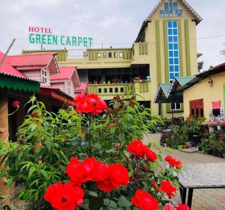 Hotel Green Carpet
