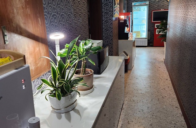 Hotel Hany