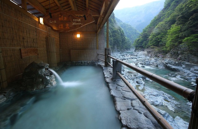 Hotel Iyaonsen