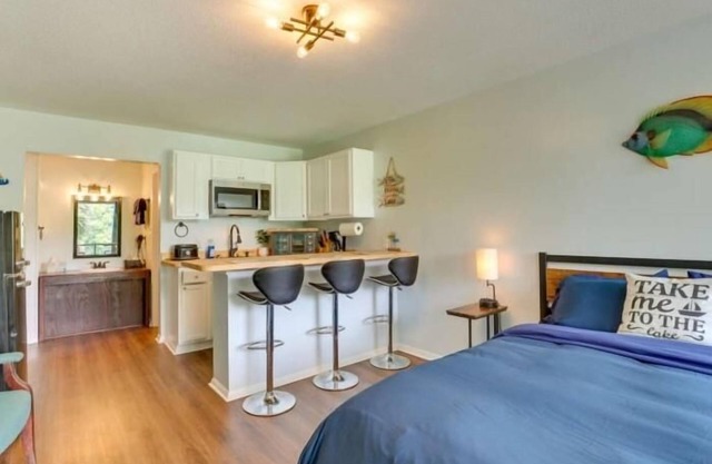 Hotel Lakefront Queen With Kitchenette - Hotel Lakefront Queen with Kitchenette