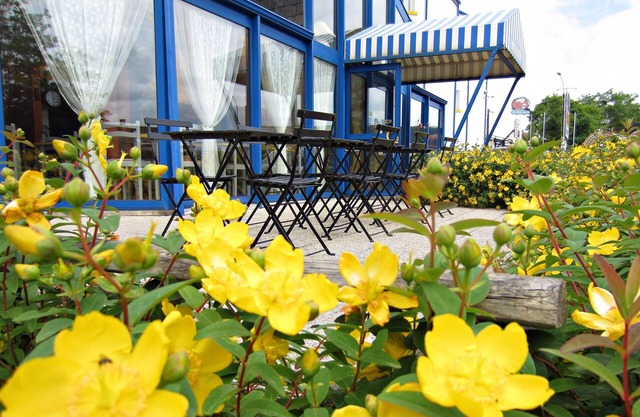 Hotel Noctuel - Blois