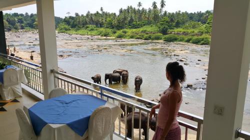 Hotel Pinnalanda - NEW DEAL! Exclusive Offers on Pickups Available!