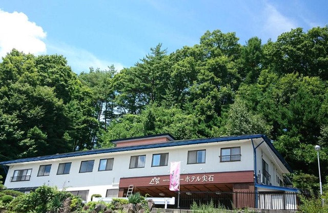 Hotel Togariishi