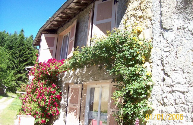 House altitude 1000 meters Forest Mountain Nature