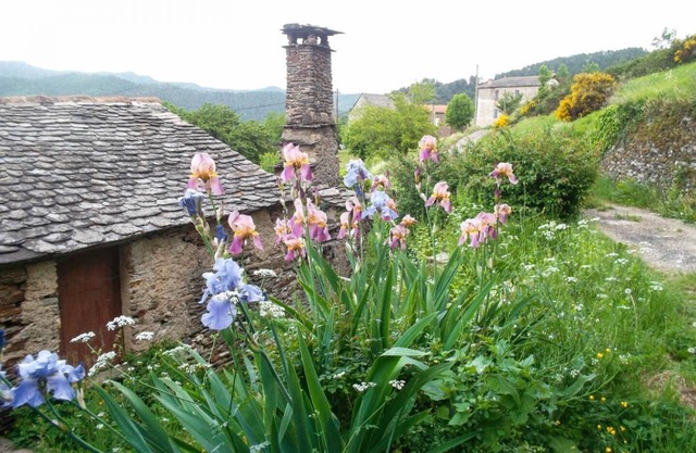 House Cavalier 2/4 persons in Gabriac