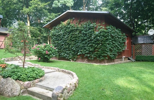 House in the woods, own property