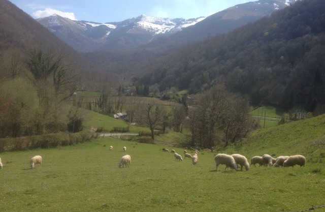 HOUSE OF CHARACTER ENTIRELY RESTORED ANY COMFORT (wifi) IN THE BEARN