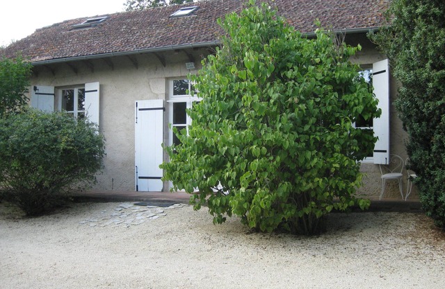 House of character restored in vineyard with park and shaded garden