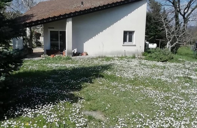 House with pool