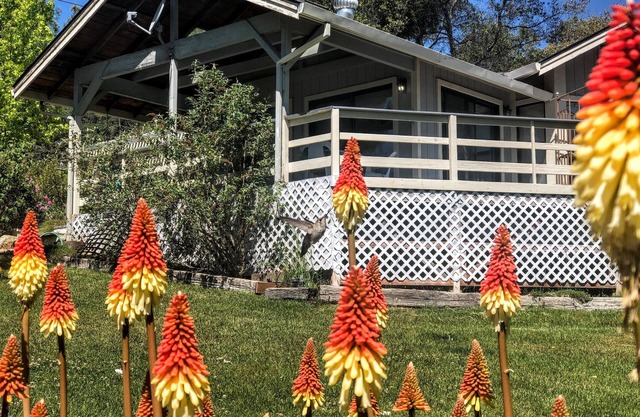 Hummingbird House - Scenic Peaceful Foothills Getaway only minutes from downtown