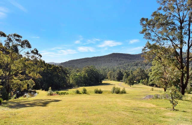 Hunter Valley Kangaroo Retreat with 60+ Kangaroos