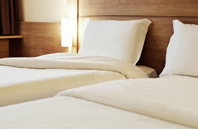 Ibis Novo Hamburgo