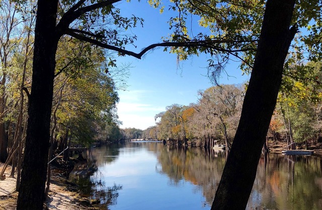 Ichetucknee Springs/Ginnie Springs/Santa Fe River at the Hideaway Cottage
