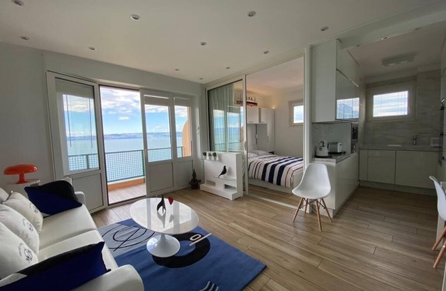 Idéalement Situé sur les Quais D'evian Avec vue Panoramique sur le lac Léman