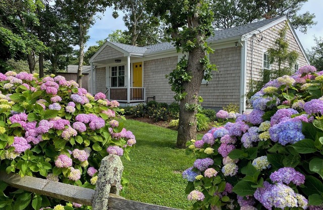 Ideal Contemporary, Walk to Town, Central AC, 100% Renewable Energy